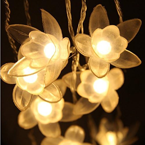 Amants01 40 LED svjetla za cvijeće u obliku ljiljana, 16.4 Ft Fairy Led žičana svjetla na baterije za zabavu,vjenčanje,Božić,dekoraciju,bašte,