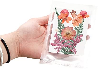 1 pakovanje suho cvijeće UV smole prirodne cvijeće naljepnice za sušenje kozmetičke naljepnice za DIY epoksidne smole nakit nakit