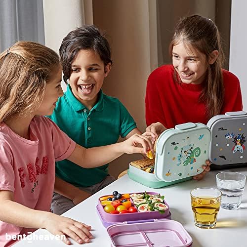 Bentoheaven Premium Bento kutija za ručak za djecu, 9 dizajna, nepropusni pretinci od 3-4, razdjelnik, idealna veličina 30oz, mikrovalna pećnica/perilica posuđa za djecu Bento kutija za ručak [Noćna siva]