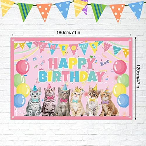 Cat Party dekoracija potrepštine - mačka Sretan rođendan pozadina mačića fotografija pozadina mačka Party fotografija pozadina za
