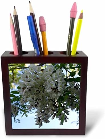3drose predivna Bijela Ailanthus Blossom fotografija - držači olovki za pločice