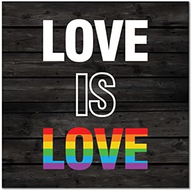 Decstic LGBT ponos drveni znakovi Ljubav je ljubav LGBTQ gej plak Progress Pride Retro Drvo viseći dekor za LGBTQ gay lezbijski poklon